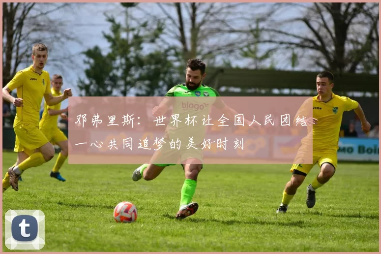 邓弗里斯：世界杯让全国人民团结一心共同追梦的美好时刻