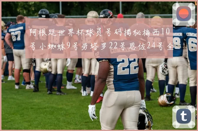 阿根廷世界杯球员号码揭秘梅西10号小蜘蛛9号劳塔罗22号恩佐24号全解析