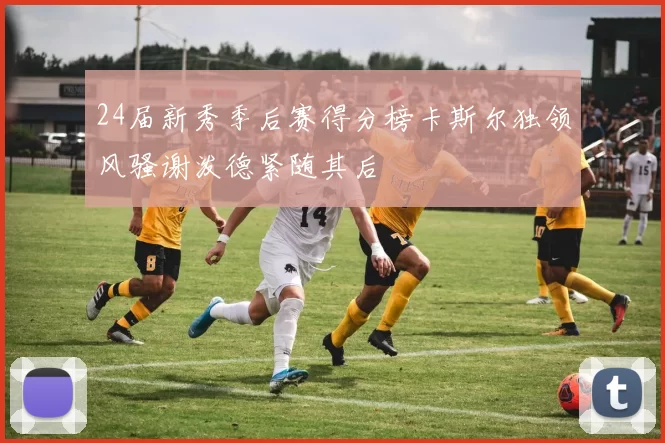24届新秀季后赛得分榜卡斯尔独领风骚谢泼德紧随其后